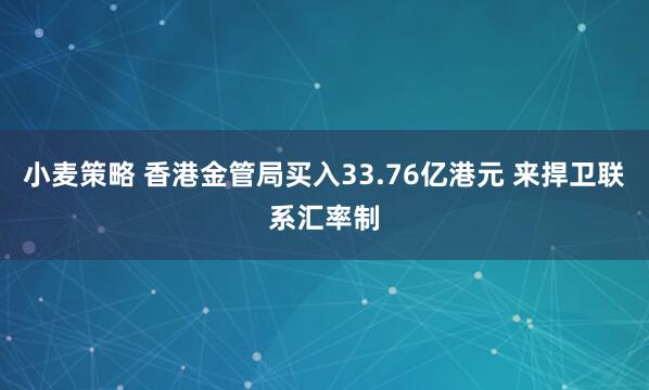 小麦策略 香港金管局买入33.76亿港元 来捍卫联系汇率制