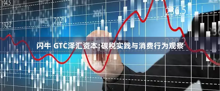闪牛 GTC泽汇资本:碳税实践与消费行为观察