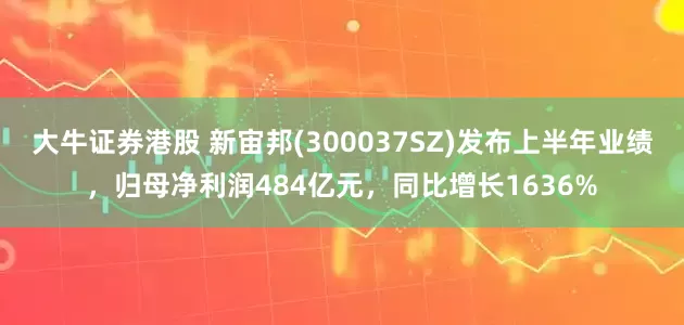 大牛证券港股 新宙邦(300037SZ)发布上半年业绩，归母净利润484亿元，同比增长1636%